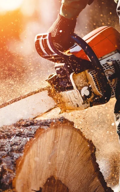 tools img saw 2